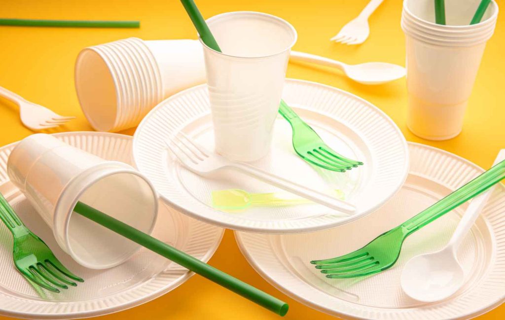 Disposable Dinnerware