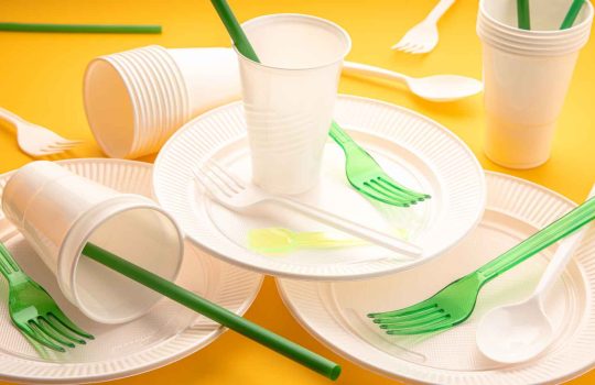 Disposable Dinnerware2